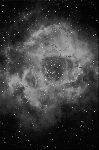 [Ngc 2244 Ha.jpg] [984x1477] [672.48 Ko]
